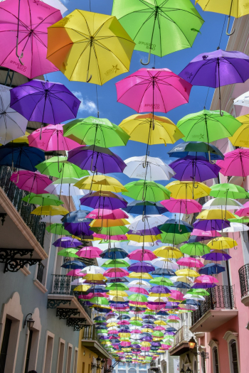 Colorful Umbrellas Colorful Umbrellas