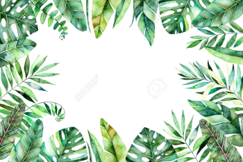Colorful Watercolor Frame Border With Colorful Tropical Leaves ...