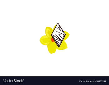 colorful yellow chamomile flower colorful yellow chamomile flower
