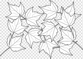 Coloring book Autumn leaf color Adult Child, autumn transparent background PNG clipart