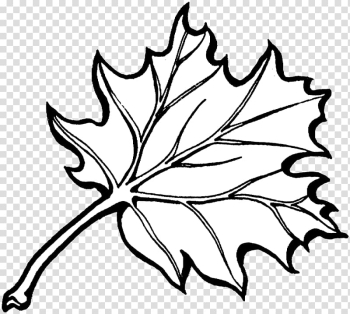 Coloring book Autumn leaf color, autumn transparent background PNG clipart Coloring book Autumn leaf color, autumn transparent background PNG clipart