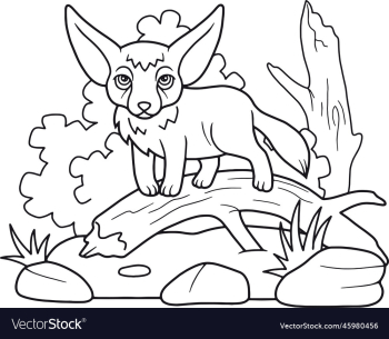 Coloring page - little fennec fox