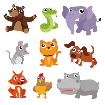 Coloured animals collection Coloured animals collection