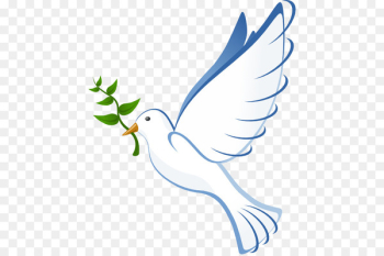 Columbidae Bible Christianity Clip art - Dove Vector Columbidae Bible Christianity Clip art - Dove Vector