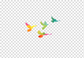Columbidae Rock dove Bird, Flat color flying bird transparent background PNG clipart Columbidae Rock dove Bird, Flat color flying bird transparent background PNG clipart