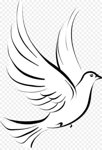 Columbidae Stencil Drawing Clip art - DOVE Columbidae Stencil Drawing Clip art - DOVE