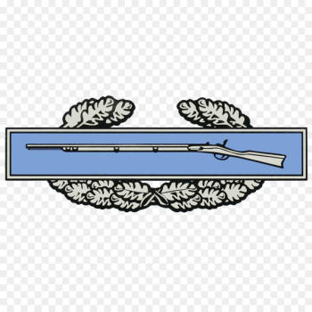 Combat Infantryman Badge Expert Infantryman Badge United States Army - Army helmet 