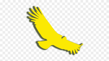 Come Feel The Power Of Nature - Golden Eagle Come Feel The Power Of Nature - Golden Eagle