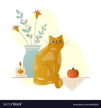 comfort fluffy doodle flat a red cat comfort fluffy doodle flat a red cat