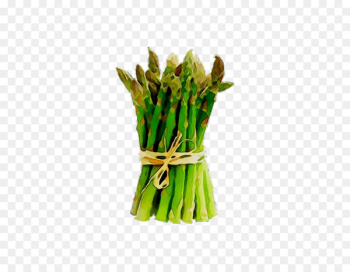 Commodity Green bean Scallion Asparagus - Commodity Green bean Scallion Asparagus -