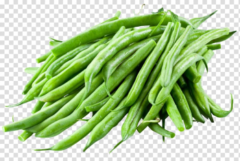 Common Bean Terrine Green bean Food, vegetable transparent background PNG clipart Common Bean Terrine Green bean Food, vegetable transparent background PNG clipart