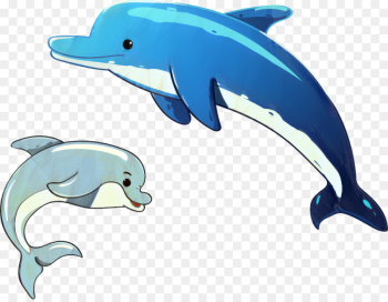 Common Bottlenose Dolphin, Shortbeaked Common Dolphin, Tucuxi, Dolphin, Bottlenose Dolphin PNG