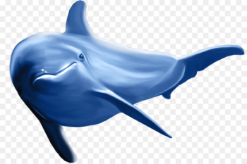 Common bottlenose dolphin Striped dolphin - Dolphin pattern Common bottlenose dolphin Striped dolphin - Dolphin pattern
