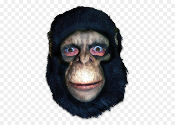 Common chimpanzee Gorilla Mask Monkey Primate - apes and monkeys 