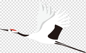 Common Crane Bird Vecteur, white crane transparent background PNG clipart Common Crane Bird Vecteur, white crane transparent background PNG clipart