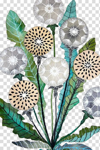 Common Dandelion Watercolor painting Art Illustration, Cartoon Dandelion transparent background PNG clipart