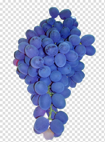 Common Grape Vine Fruit Auglis, Purple grapes transparent background PNG clipart