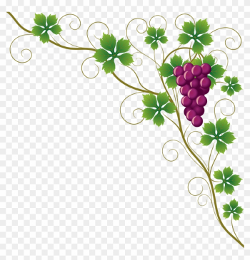 Common Grape Vine Grape Leaves Wine Clip Art - Grapes Border Png