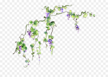 Common Grape Vine Image Watercolor painting - grapes grapevines 