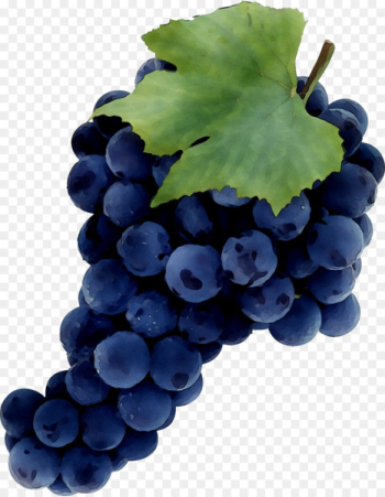 Common Grape Vine Sultana Zante currant Juice - Common Grape Vine Sultana Zante currant Juice -