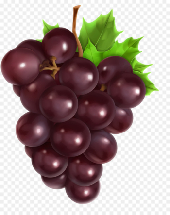 Common Grape Vine Vector graphics Royalty-free Stock photography - grape 