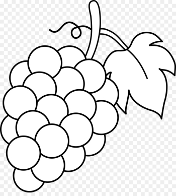 Common Grape Vine Wine Black and white Clip art - Vine Line ...
