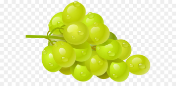 Common Grape Vine Wine Clip art - White Grape PNG Clipart Picture 