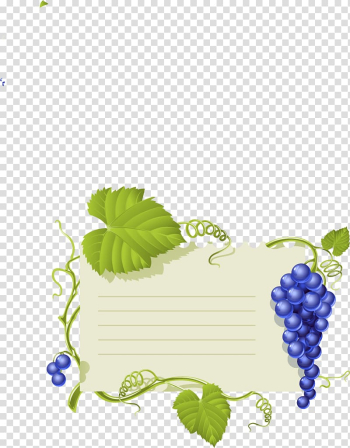 Common Grape Vine Wine Grape leaves, Fruit notes transparent background PNG clipart Common Grape Vine Wine Grape leaves, Fruit notes transparent background PNG clipart