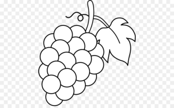 Common Grape Vine Wine Juice Clip art - Grapes Drawing Common Grape Vine Wine Juice Clip art - Grapes Drawing