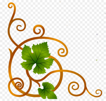Common Grape Vine Wine Sultana Vector graphics - wine Common Grape Vine Wine Sultana Vector graphics - wine