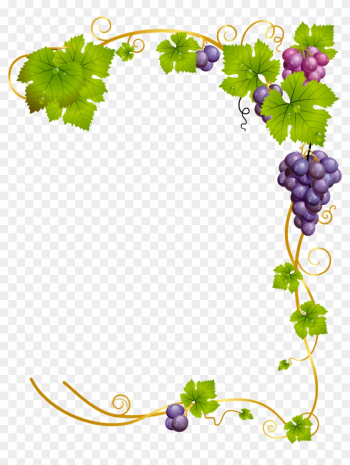 Common Grape Vine Wine - Wine Frame Png