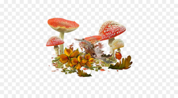 Common mushroom Shiitake Edible mushroom Drawing - mushroom Common mushroom Shiitake Edible mushroom Drawing - mushroom