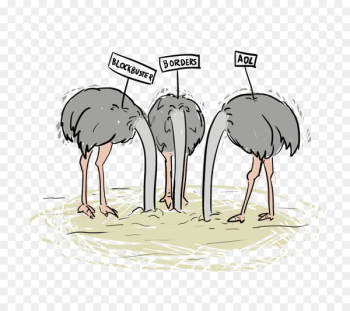 Common ostrich Horse Bird Beak Livestock - horse Common ostrich Horse Bird Beak Livestock - horse