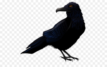 Common raven Bird Clip art - Creative Halloween Crow Common raven Bird Clip art - Creative Halloween Crow