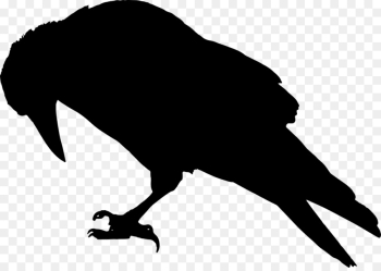 Common Raven, Crow, Silhouette, Beak, Bird PNG Common Raven, Crow, Silhouette, Beak, Bird PNG