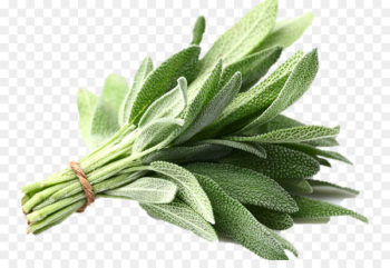 Common sage Organic food Herb Vegetable Summer savory - vegetable 