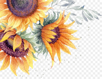 Common sunflower Clip art Image Watercolor painting - sunflower watercolor card 