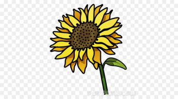 Common sunflower Drawing Clip art Helianthus giganteus Graphics - attach outline 