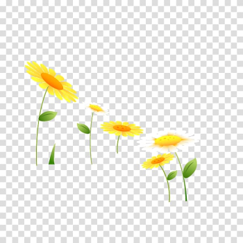Common sunflower , sunflower transparent background PNG clipart Common sunflower , sunflower transparent background PNG clipart