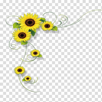 Common sunflower , sunflower transparent background PNG clipart Common sunflower , sunflower transparent background PNG clipart