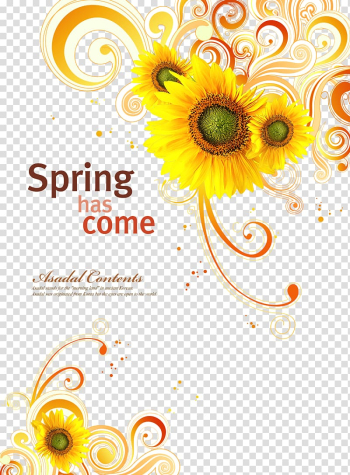 Common sunflower , sunflower transparent background PNG clipart Common sunflower , sunflower transparent background PNG clipart