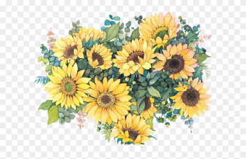 Common Sunflower Watercolor Painting Illustration - Sunflower Watercolor Png