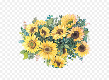 Common sunflower Watercolor painting Illustration - Watercolor flowers 