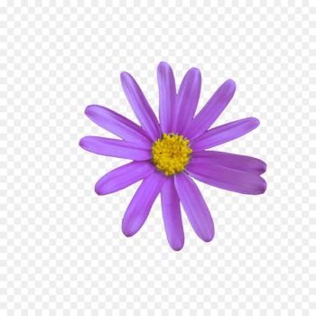 Communication Web page Business Emoji Meaning - flower corel Communication Web page Business Emoji Meaning - flower corel