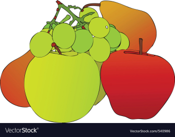 Composition fruitful vector image Composition fruitful vector image