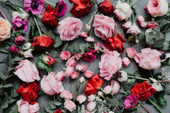 Composition of flowers Composition of flowers