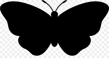 Computer Icons, Photography, Encapsulated Postscript, Butterfly, Moths And Butterflies PNG