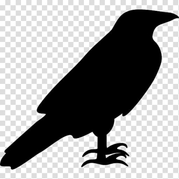 Computer Icons Silhouette , raven transparent background PNG clipart Computer Icons Silhouette , raven transparent background PNG clipart