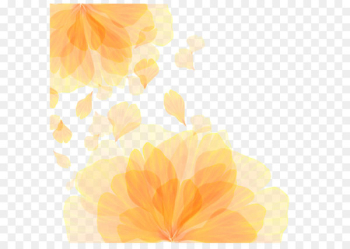 Computer Wallpaper - Vector orange flower pattern texture Computer Wallpaper - Vector orange flower pattern texture