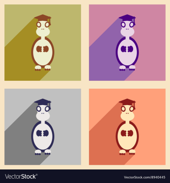 Concept flat icons with long shadow turtle cartoon vector image Concept flat icons with long shadow turtle cartoon vector image